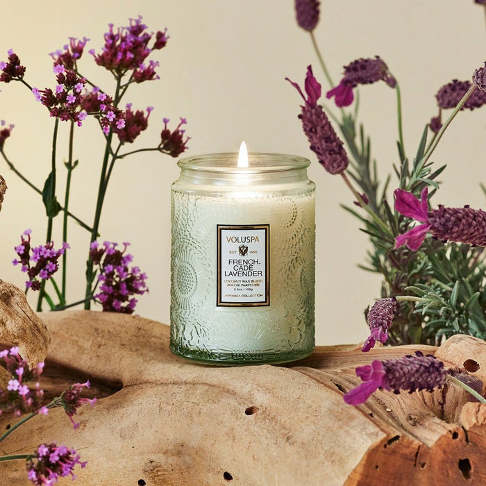 VOLUSPA French Cade & Lavender 50hr Candle Jar