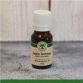 Lemon Verbena (Lippia citriodora) - Essential Oil