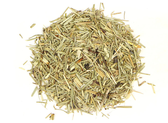 Dried horsetail herb, Equisetum arvense, also known as shavegrass