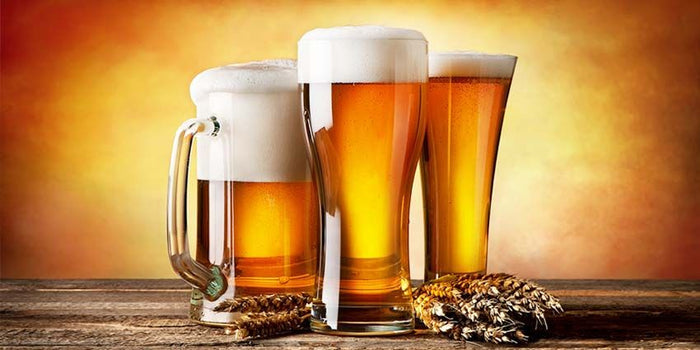 Pub Paraphernalia British Tulip Pint Beer Glass