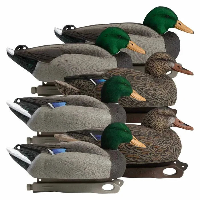 Rugged Series Standard Mallard Floater Decoys – Flocked Head Drakes - SNOODBANGER customs