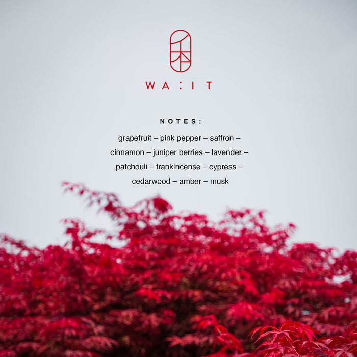 WA:IT AKA Eau de Parfum