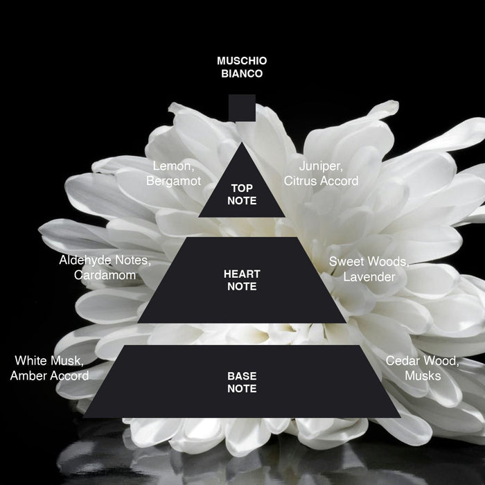 Acca Kappa White Moss Solid Perfume